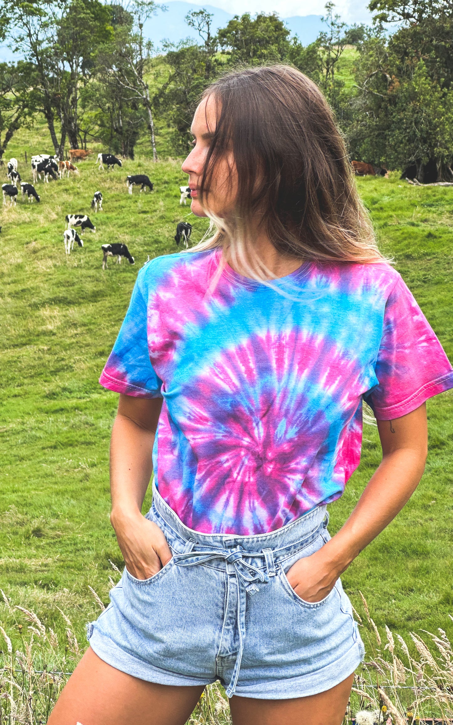 Estándar 🌈